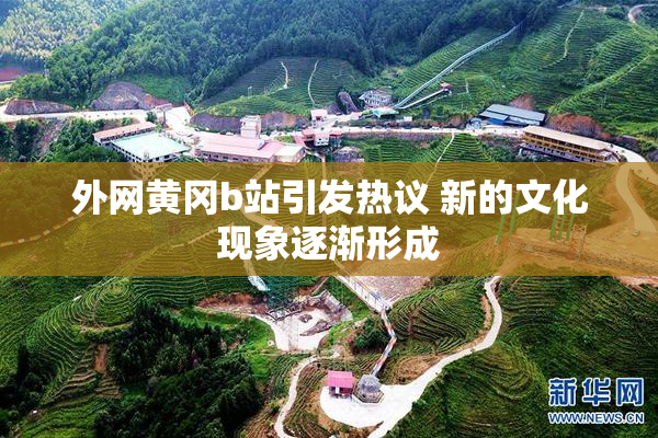外网黄冈b站引发热议 新的文化现象逐渐形成