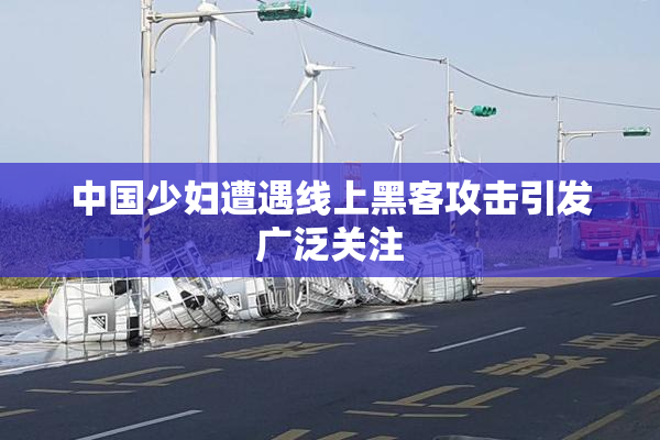 中国少妇遭遇线上黑客攻击引发广泛关注