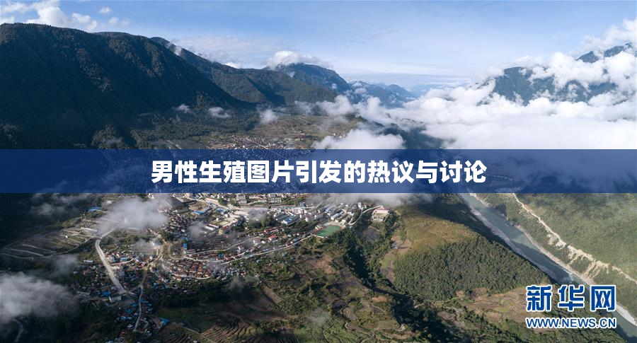 男性生殖图片引发的热议与讨论