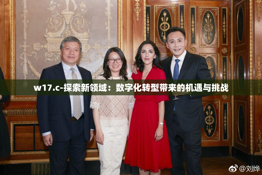 w17.c-探索新领域：数字化转型带来的机遇与挑战