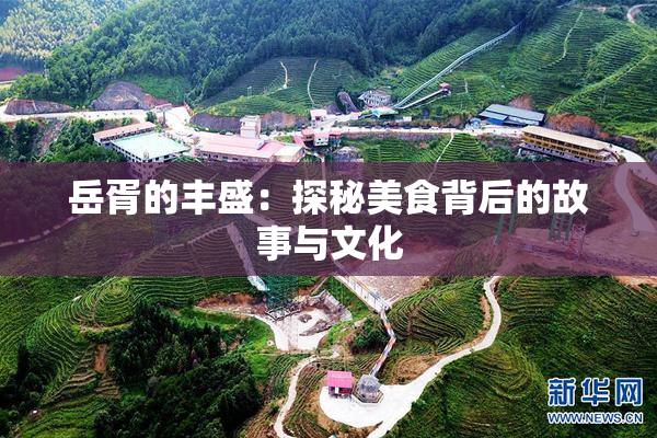 岳胥的丰盛：探秘美食背后的故事与文化