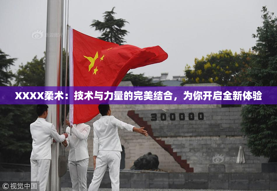 XXXX柔术：技术与力量的完美结合，为你开启全新体验
