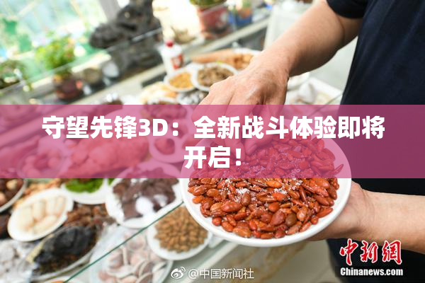 守望先锋3D：全新战斗体验即将开启！