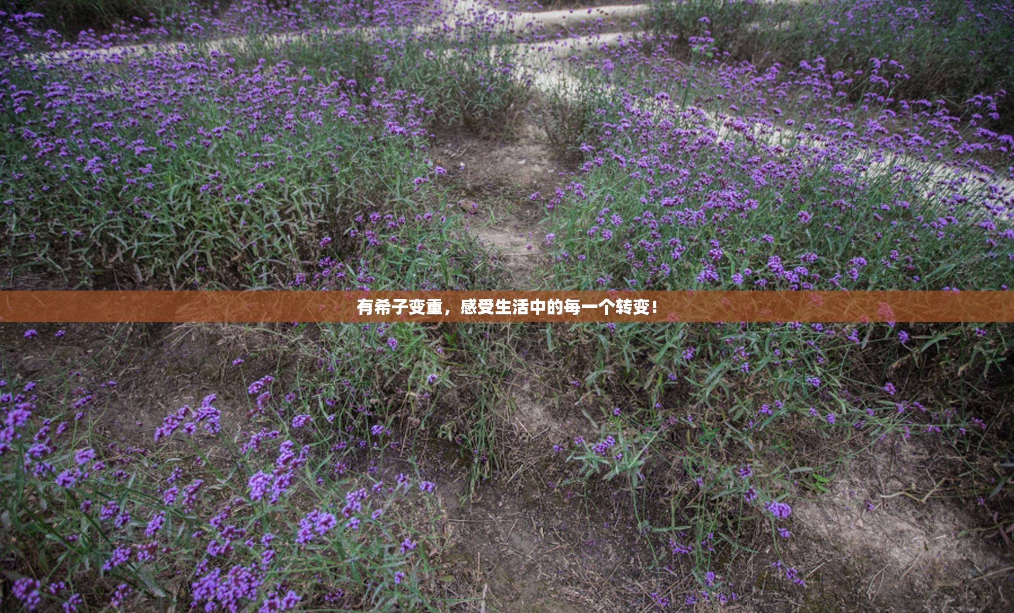 有希子变重，感受生活中的每一个转变！