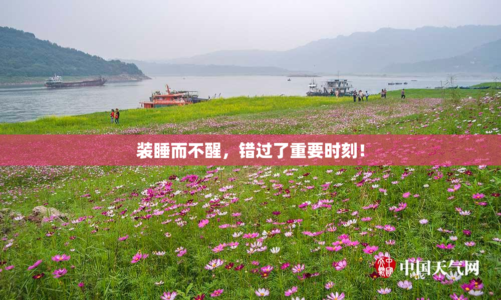 装睡而不醒，错过了重要时刻！