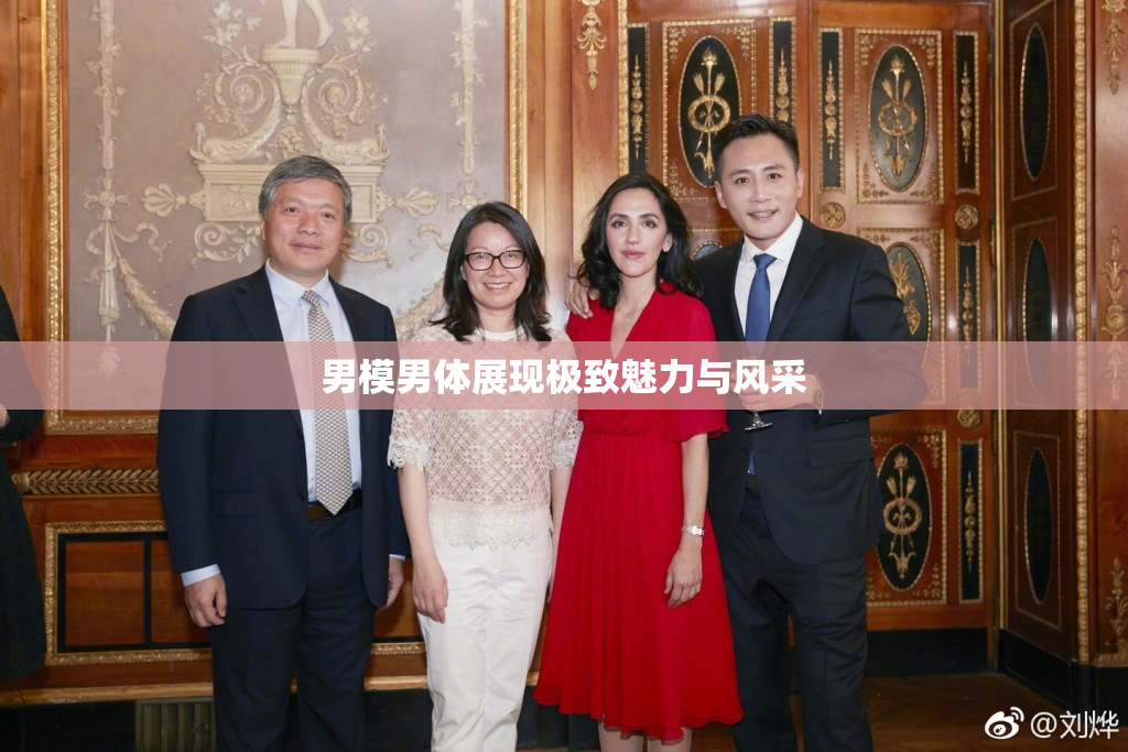 男模男体展现极致魅力与风采