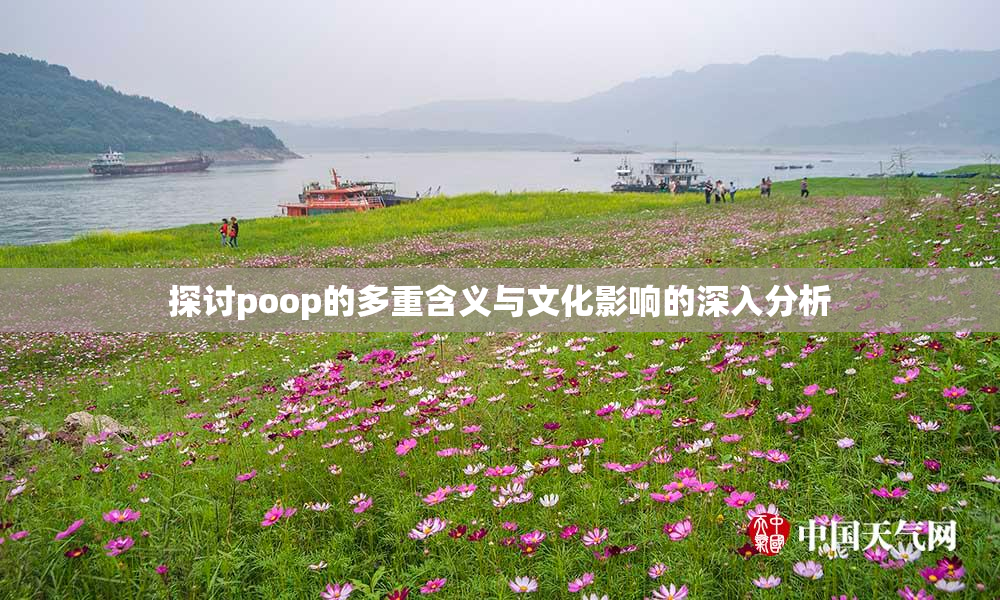 探讨poop的多重含义与文化影响的深入分析