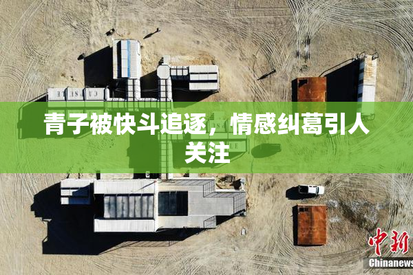 青子被快斗追逐，情感纠葛引人关注