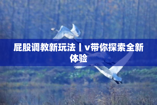 屁股调教新玩法丨v带你探索全新体验