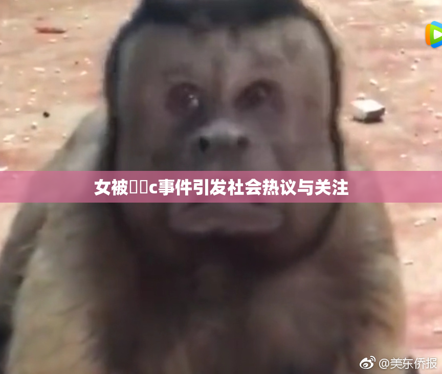 女被❌‌c事件引发社会热议与关注