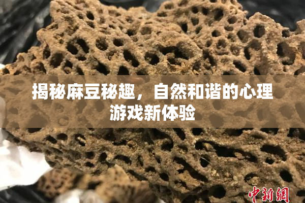 揭秘麻豆秘趣，自然和谐的心理游戏新体验
