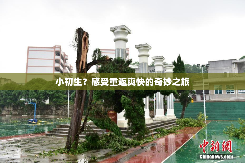 小初生？感受重返爽快的奇妙之旅