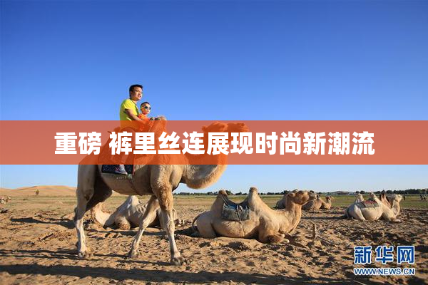 重磅 裤里丝连展现时尚新潮流
