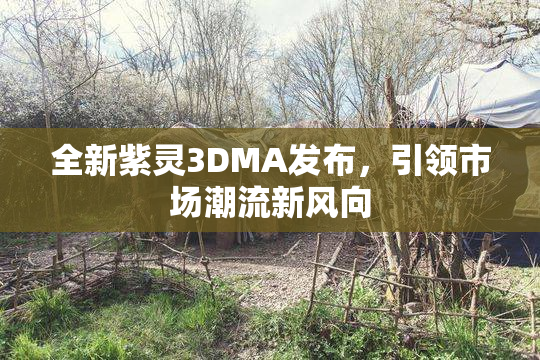 全新紫灵3DMA发布，引领市场潮流新风向
