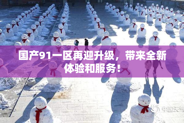 国产91一区再迎升级，带来全新体验和服务！