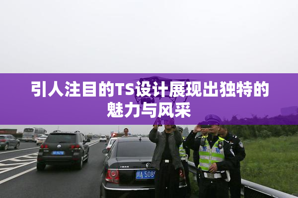 引人注目的TS设计展现出独特的魅力与风采