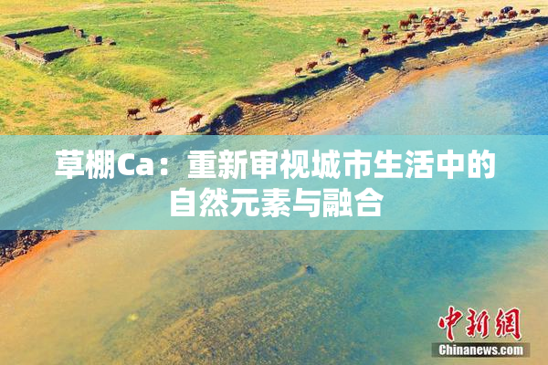 草棚Ca：重新审视城市生活中的自然元素与融合