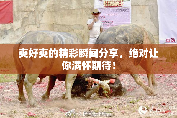 爽好爽的精彩瞬间分享，绝对让你满怀期待！