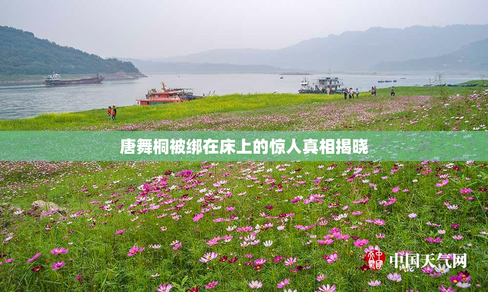 唐舞桐被绑在床上的惊人真相揭晓