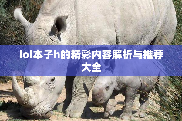 lol本子h的精彩内容解析与推荐大全
