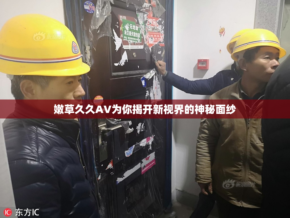 嫩草久久AV为你揭开新视界的神秘面纱