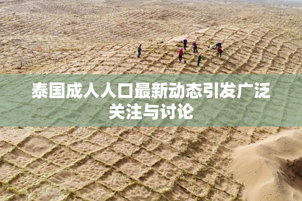 泰国成人人口最新动态引发广泛关注与讨论