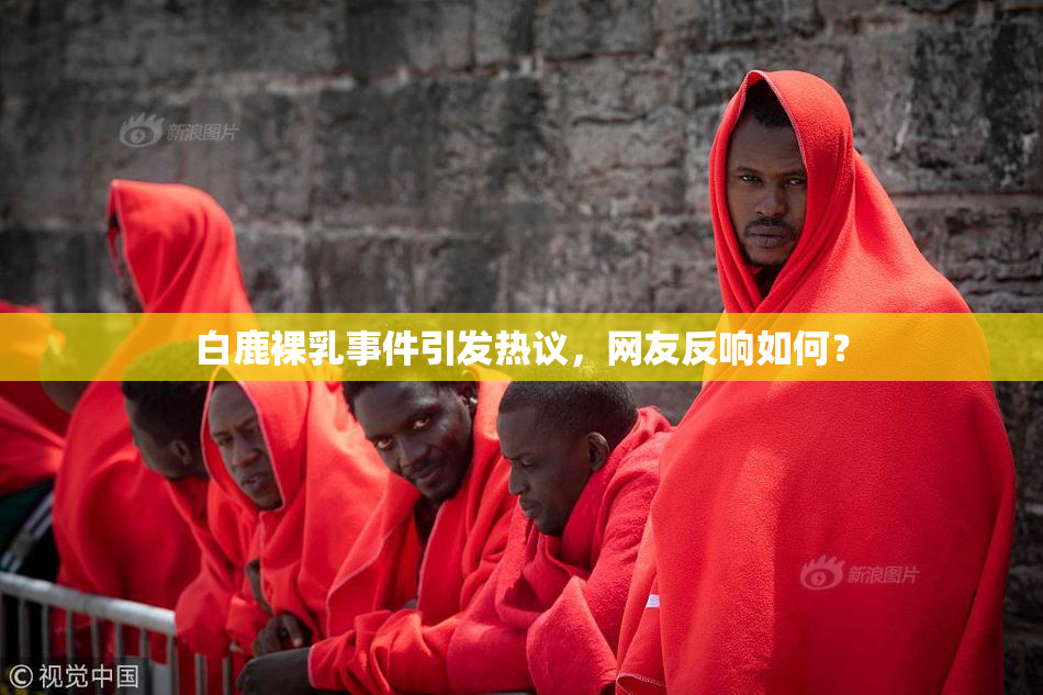 白鹿裸乳事件引发热议，网友反响如何？