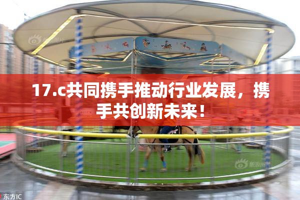 17.c共同携手推动行业发展，携手共创新未来！