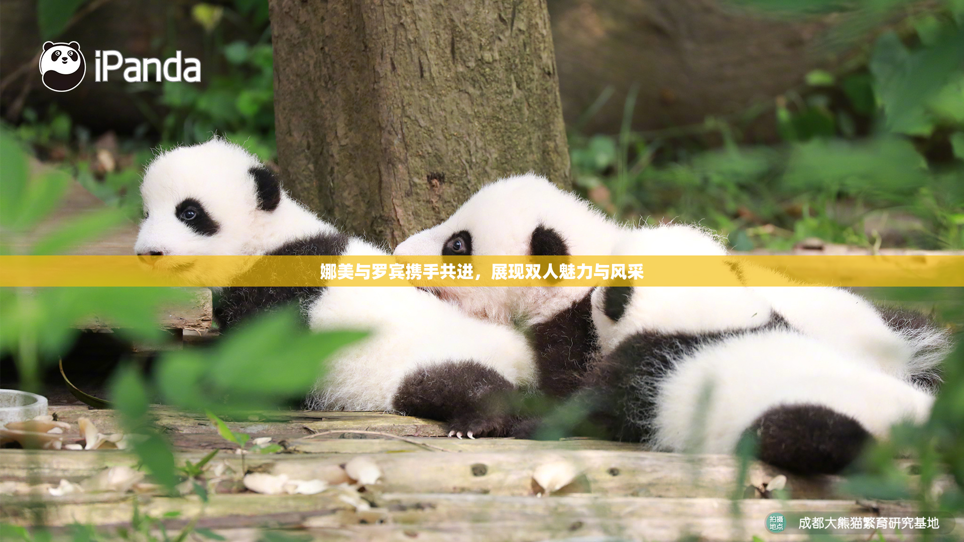 娜美与罗宾携手共进，展现双人魅力与风采