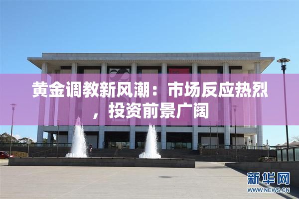 黄金调教新风潮：市场反应热烈，投资前景广阔