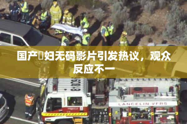 国产婬妇无码影片引发热议，观众反应不一