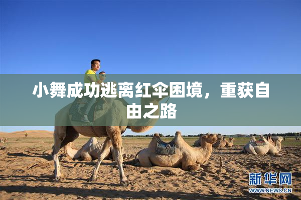 小舞成功逃离红伞困境，重获自由之路