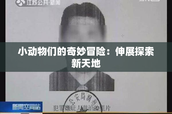 小动物们的奇妙冒险：伸展探索新天地