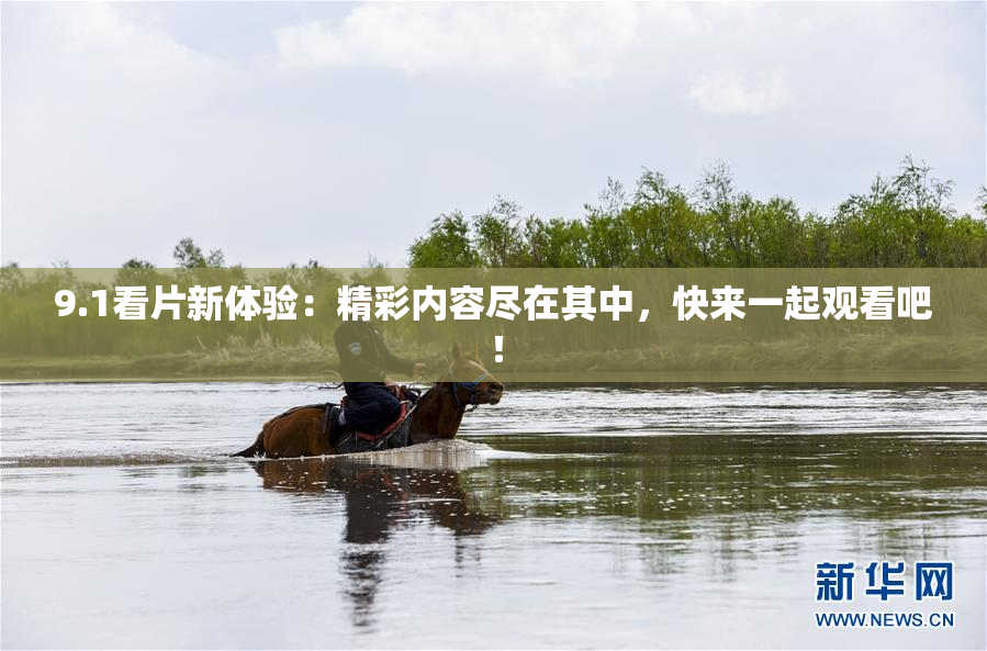 9.1看片新体验：精彩内容尽在其中，快来一起观看吧！