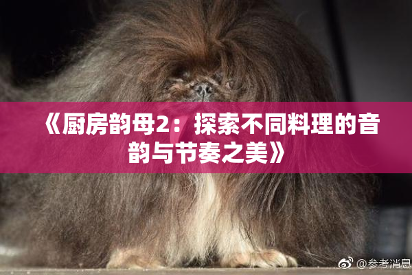 《厨房韵母2：探索不同料理的音韵与节奏之美》