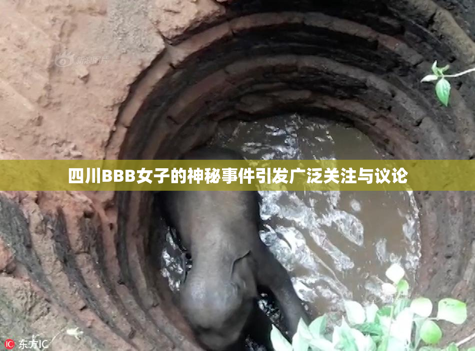 四川BBB女子的神秘事件引发广泛关注与议论
