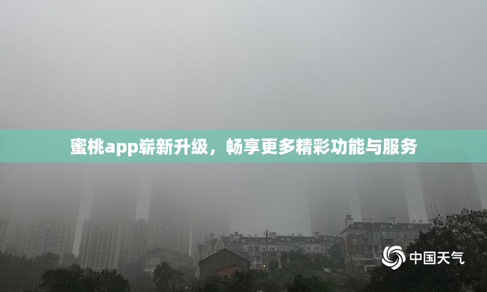 蜜桃app崭新升级，畅享更多精彩功能与服务