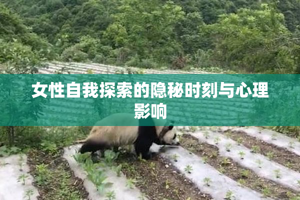 女性自我探索的隐秘时刻与心理影响