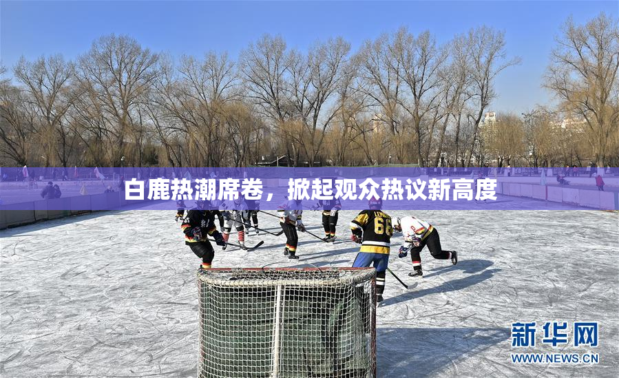 白鹿热潮席卷，掀起观众热议新高度