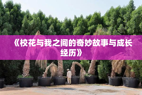 《校花与我之间的奇妙故事与成长经历》