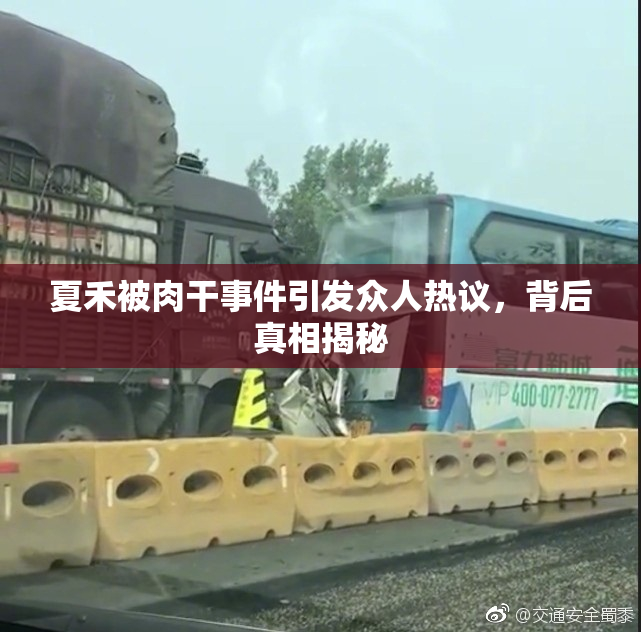夏禾被肉干事件引发众人热议，背后真相揭秘