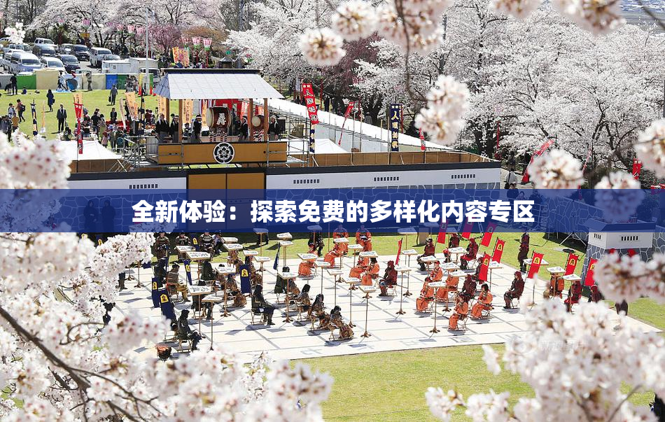 全新体验：探索免费的多样化内容专区