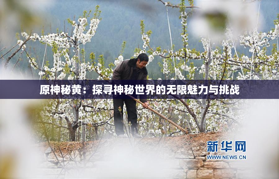 原神秘黄：探寻神秘世界的无限魅力与挑战