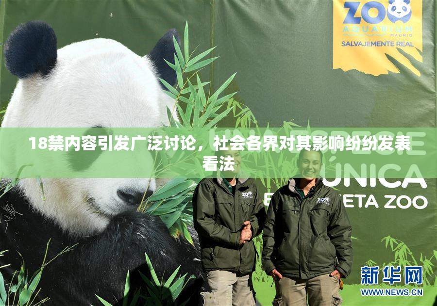 18禁内容引发广泛讨论，社会各界对其影响纷纷发表看法