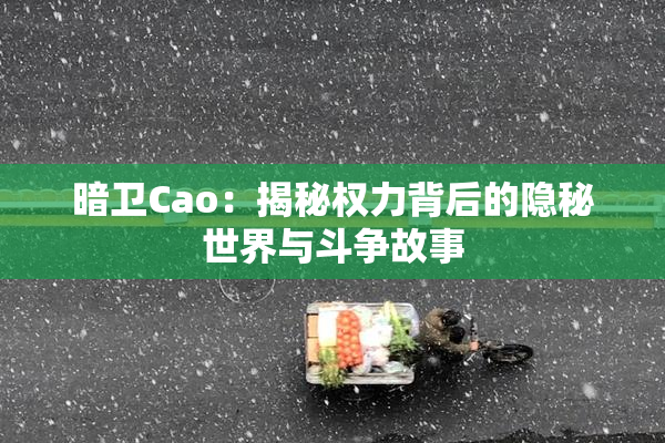暗卫Cao：揭秘权力背后的隐秘世界与斗争故事
