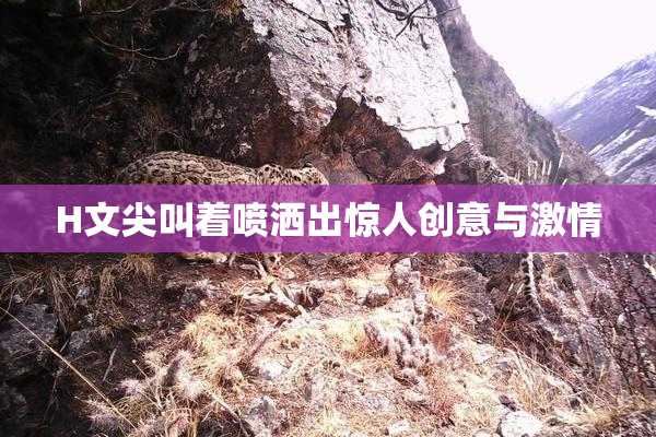 H文尖叫着喷洒出惊人创意与激情