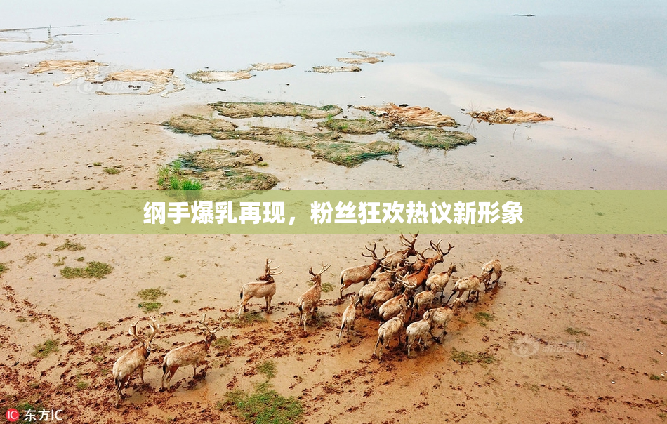 纲手爆乳再现，粉丝狂欢热议新形象