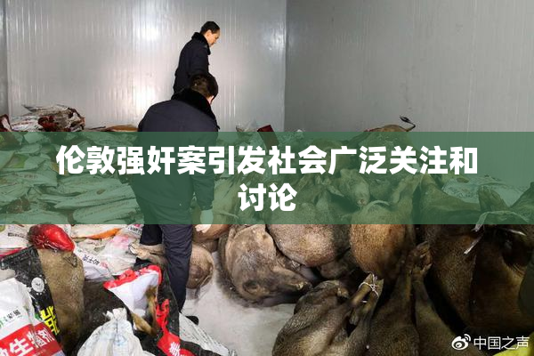 伦敦强奸案引发社会广泛关注和讨论