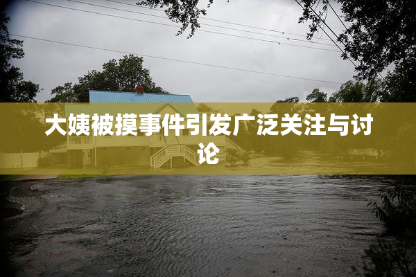 大姨被摸事件引发广泛关注与讨论