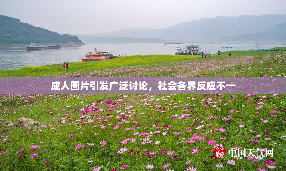 成人图片引发广泛讨论，社会各界反应不一